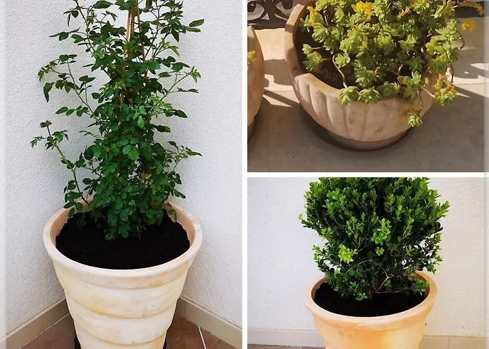 Kate Dadic 3* דוברובניק