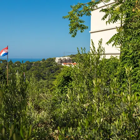 Gæstehus Kate Dadic