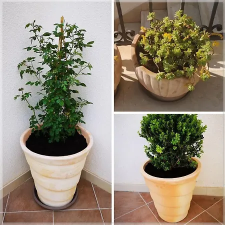 Kate Dadic 3* Dubrovnik